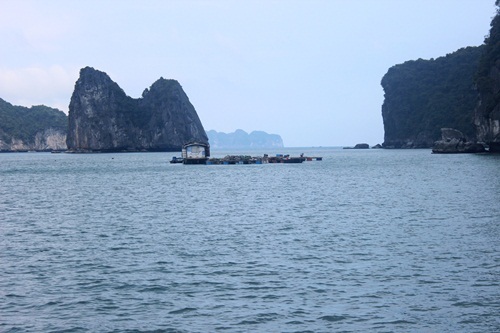 Ngắm điểm dừng chân cuối của "King Kong" tại Việt Nam - 15