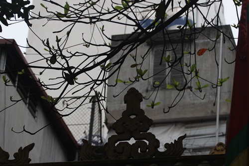 Xưa ngôi đình được xây dựng bằng tre nứa, về sau này đình đã được những người con của nghề làm giầy da xây cất khang trang hơn. Ảnh Hữu Thắng