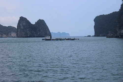 ảnh Hữu Thắng.