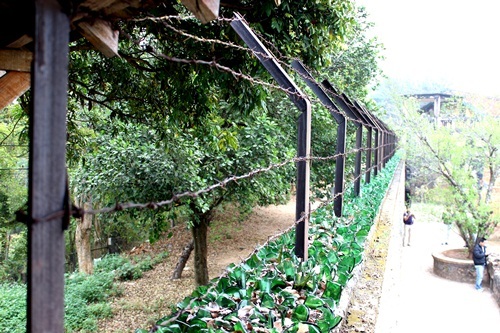 Ảnh Hữu Thắng.