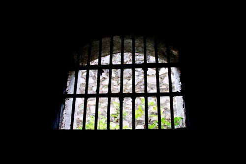 Ảnh Hữu Thắng.