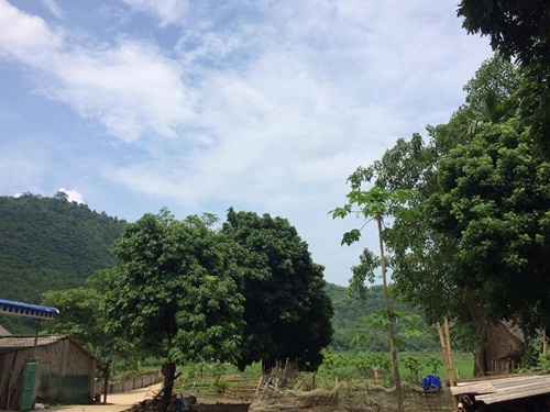 Mai Hịch - điểm đến mới bạn sẽ chọn lựa? - 5 Mai Hịch - điểm đến mới bạn sẽ chọn lựa? - 5