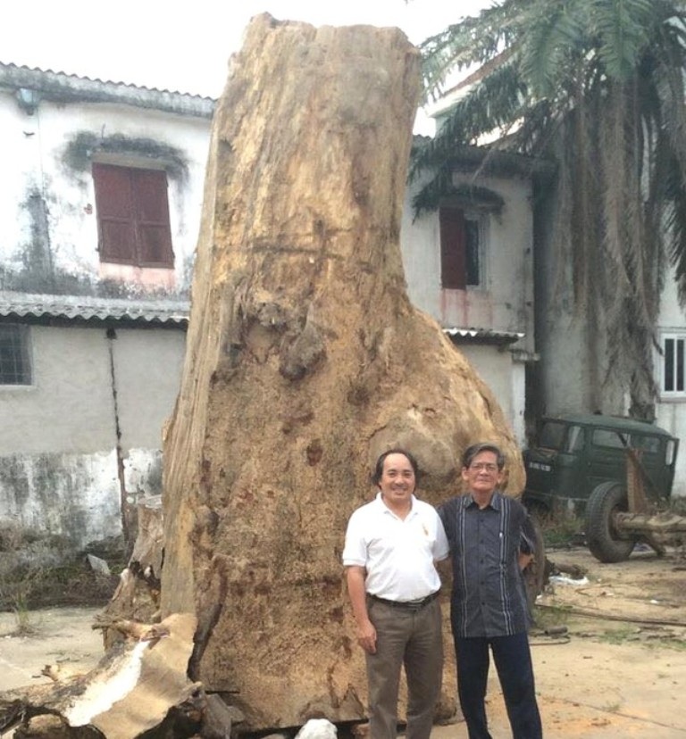 Bức tượng Đại thi hào Nguyễn Du bằng gỗ hương lớn nhất Việt Nam - 1 Tháng 4/2014 anh Huy mua được khối gỗ gù hương quý hiếm với trọng lượng 4,8 tấn, lập tức anh Huy có ý tưởng tạc bức tượng Đại thi hào Nguyễn Du bằng khối gỗ quý hiếm này.