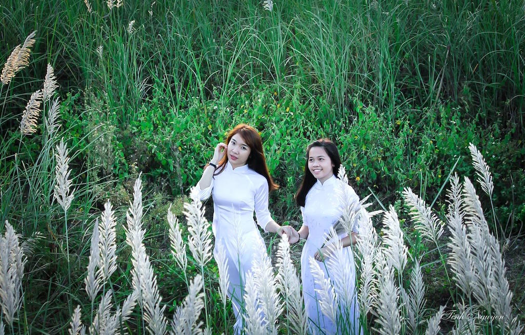 Chiêm ngưỡng cánh đồng cỏ lau trắng muốt bên dòng sông Lam - 3 (Ảnh: Nguyễn Hữu Tình)