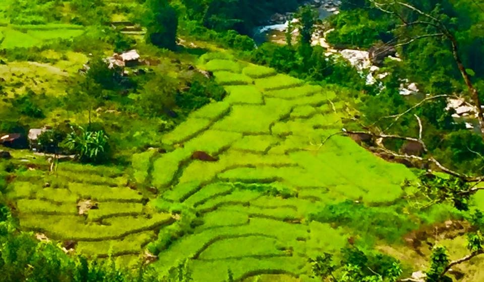Sững sờ trước vẻ đẹp ruộng bậc thang ở miền Tây xứ Nghệ - 20 Sững sờ trước vẻ đẹp ruộng bậc thang ở miền Tây xứ Nghệ - 20