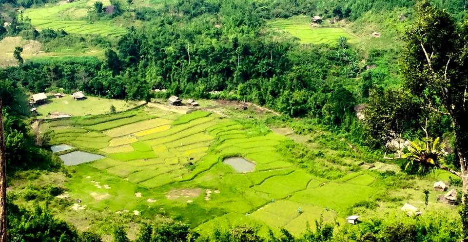 Sững sờ trước vẻ đẹp ruộng bậc thang ở miền Tây xứ Nghệ - 25 Sững sờ trước vẻ đẹp ruộng bậc thang ở miền Tây xứ Nghệ - 25