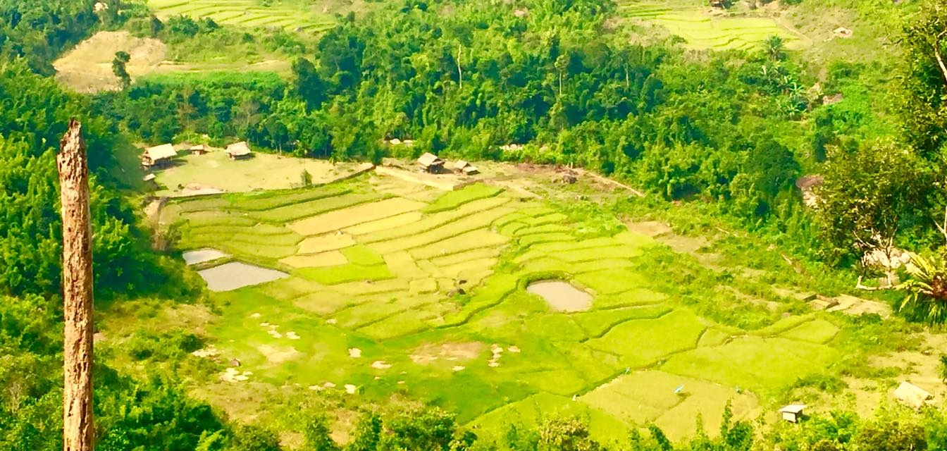 Sững sờ trước vẻ đẹp ruộng bậc thang ở miền Tây xứ Nghệ - 28 Sững sờ trước vẻ đẹp ruộng bậc thang ở miền Tây xứ Nghệ - 28