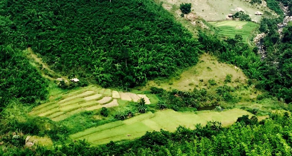 Sững sờ trước vẻ đẹp ruộng bậc thang ở miền Tây xứ Nghệ - 17 Sững sờ trước vẻ đẹp ruộng bậc thang ở miền Tây xứ Nghệ - 17