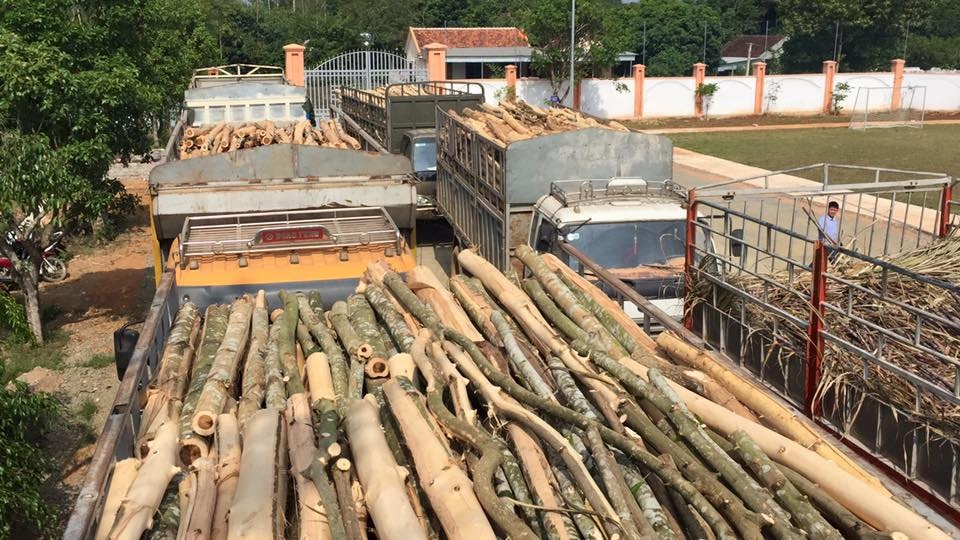 Trắng đêm xử lý xe quá tải trên đường Hồ Chí Minh - 10 Trắng đêm xử lý xe quá tải trên đường Hồ Chí Minh - 10