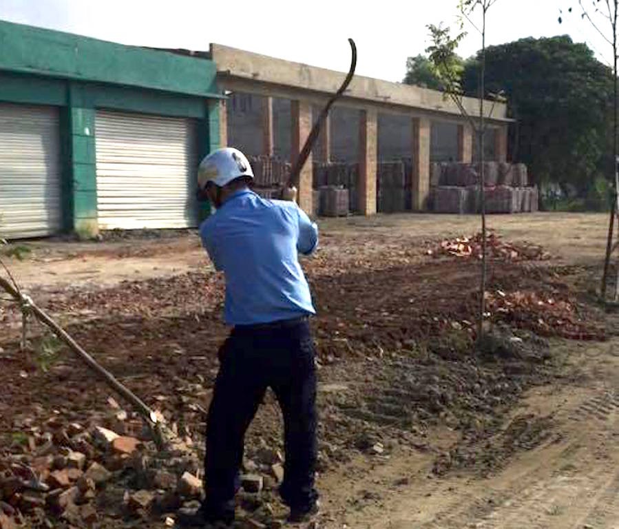 Hàng loạt cây xanh bị “triệt hạ” trên Quốc lộ 46? - 7 Hàng loạt cây xanh bị “triệt hạ” trên Quốc lộ 46? - 7