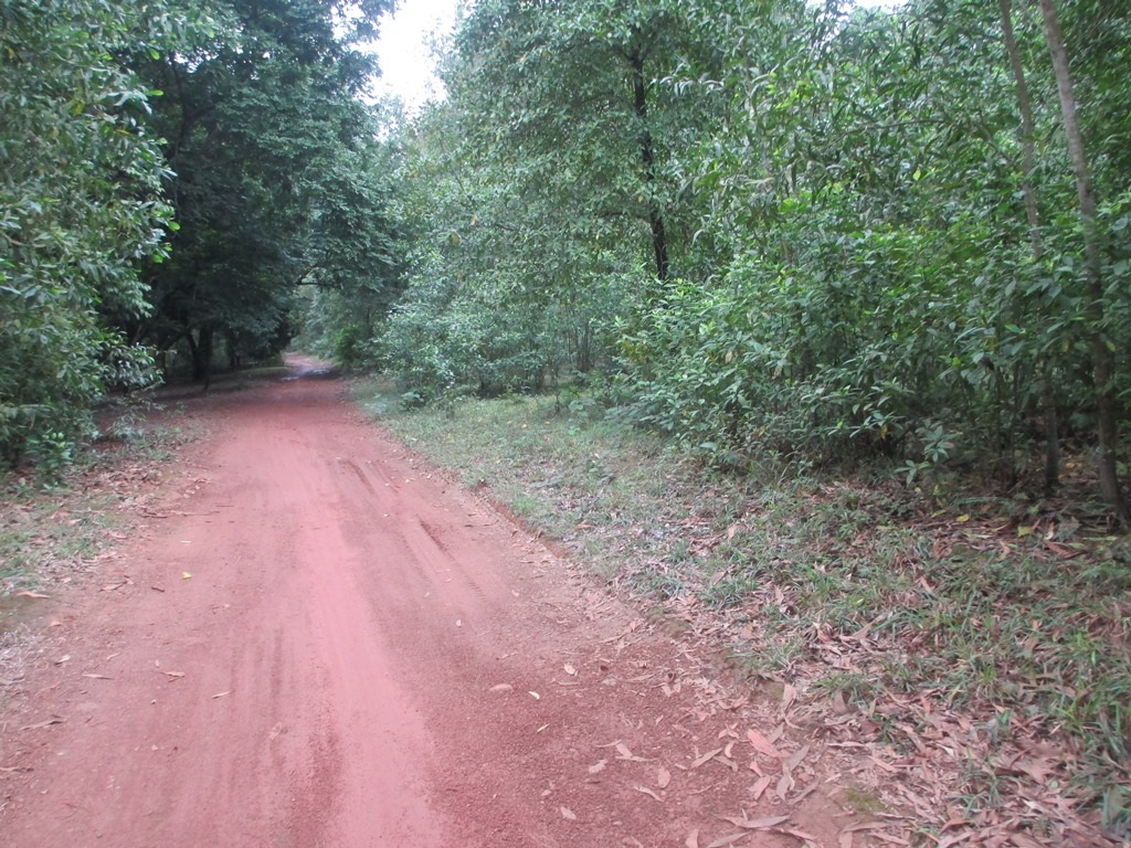 Ngôi làng 12 hộ dân bị lãng quên? - 3 Con đường vào ngôi làng bị lãng quên.
