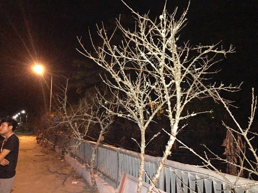 Sắc đào phai ở biên cương xứ Nghệ - 18 Sắc đào phai ở biên cương xứ Nghệ - 18