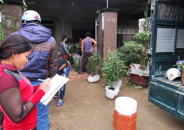 Làng hoa hối hả đón Tết - 4 Nhiều thương lái đã tất bật đến nhà các hộ dân ở xóm Kim Chi, Nghi Ân để mua hoa với giá rẻ hơn và sau đó bán ra thị trường.