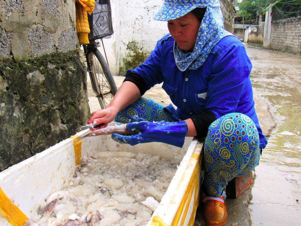 Ngư dân xứ Nghệ nô nức bám biển ngày cuối năm - 11 Chị Lê Thị Tuyết ( Diễn Bích, Diễn Châu) đang cạo vảy cho cá thực, một loại cá rất được ưa chuộng. Công đoạn này rất quan trọng trước khi cho cá lên lò nướng.