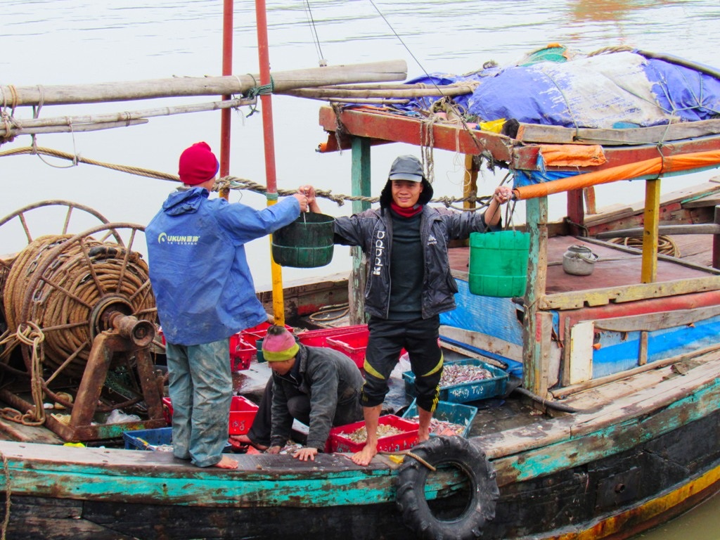 Ngư dân xứ Nghệ nô nức bám biển ngày cuối năm - 3 Người dân nơi đây cho hay, dịp Tết này lượng cá, mực và các loại hải sản tiêu thụ lớn hơn ngày thường nên những làng nghề đi biển luôn tấp nập và tranh thủ làm để có hàng bán.