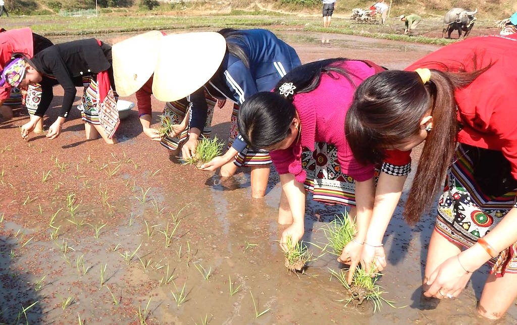 Khắp nơi cầu may trong Lễ hội Lồng Tồng - 6
Phụ nữ Thái trong bộ trang phục đẹp nhất cho ngày lễ hội Lồng Tồng với mong muốn cây lúa năm mới được tốt tươi, mùa màng thắng lợi, thóc đầy bồ.