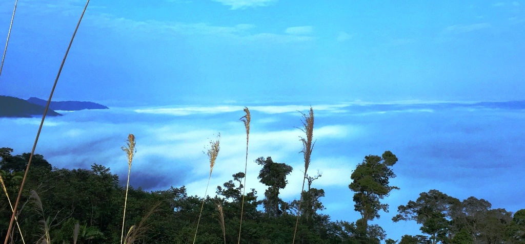 Khám phá chốn “bồng lai tiên cảnh” ở Phu Xai Lai Leng - 9 Khám phá chốn “bồng lai tiên cảnh” ở Phu Xai Lai Leng - 9
