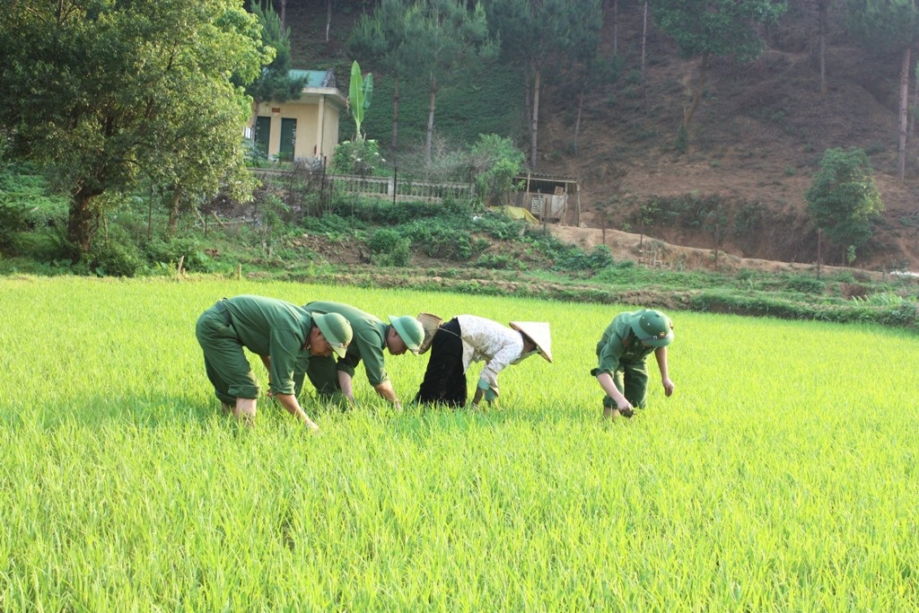 CBCS BĐBP Nghệ An giúp đồng bào địa phương lao động sản xuất.