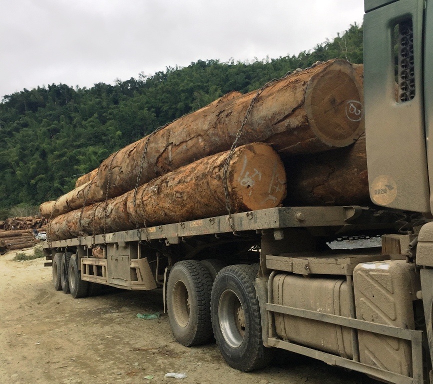 Bài 2: Xe chở gỗ Lào "bức tử" cung đường biên giới - 3 Bài 2: Xe chở gỗ Lào "bức tử" cung đường biên giới - 3
