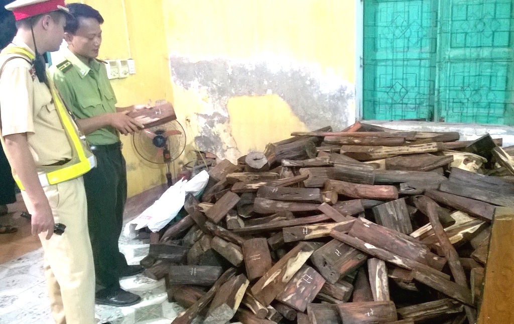 Bắt vụ vận chuyển hơn 1 tấn gỗ trắc không có giấy tờ - 2 Lực lượng CSGT và kiểm lâm kiểm tra số gỗ.