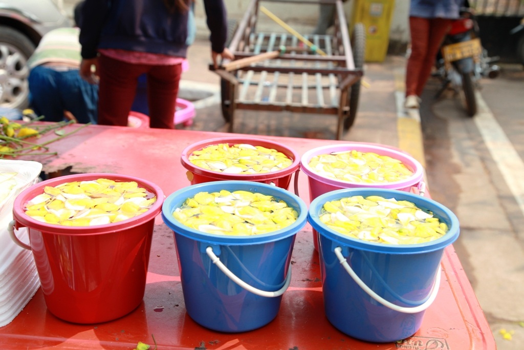 Đắm say cùng Lễ hội té nước ở "đất nước triệu Voi" - 6 Hoa sử dụng trong những ngày này được xem là điềm may mắn, có hai loại hoa: hoa muồng (bò cạp vàng,hoa hoàng hậu) được người dân cột vào xe và treo trên nhà để cầu may mắn. Còn hoa Champa được người dân kết thành chùm hay cài trên tóc để cầu mong điều phước lành.