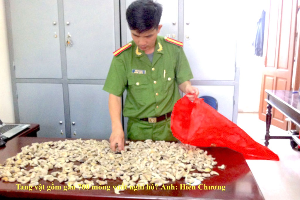 Bắt vụ tàng trữ gần 700 móng vuốt hổ? - 1 Bắt vụ tàng trữ gần 700 móng vuốt hổ? - 1