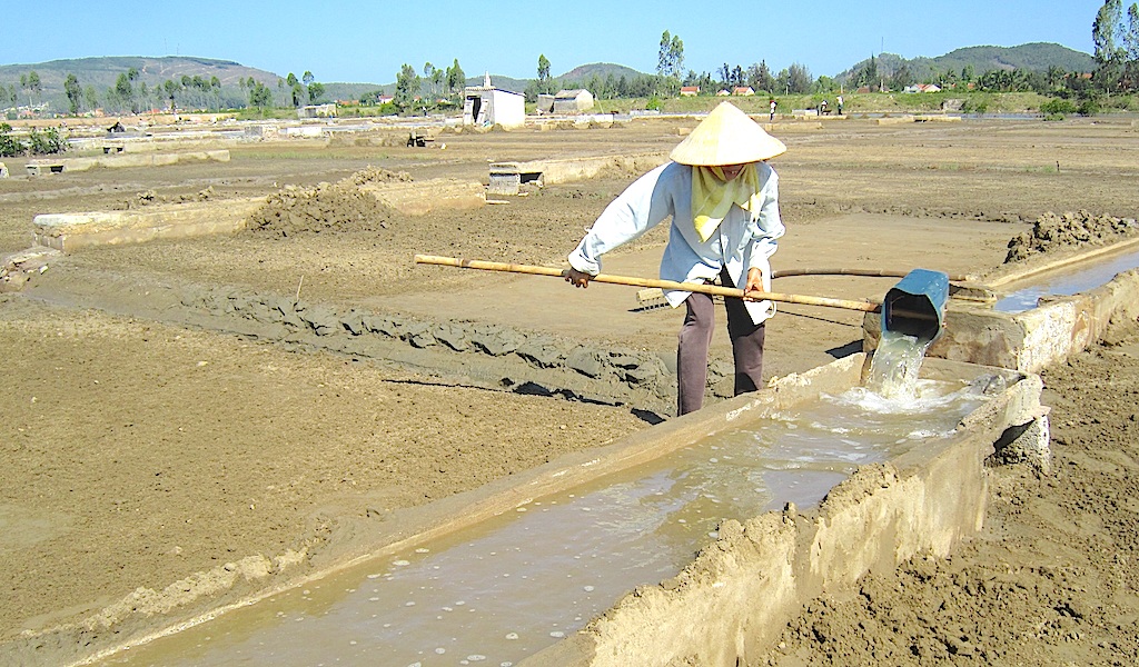 Mồ hôi, nước mắt kết tinh nên hạt muối - 13 Mồ hôi, nước mắt kết tinh nên hạt muối - 13