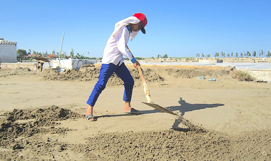 Mồ hôi, nước mắt kết tinh nên hạt muối - 6 Mồ hôi, nước mắt kết tinh nên hạt muối - 6