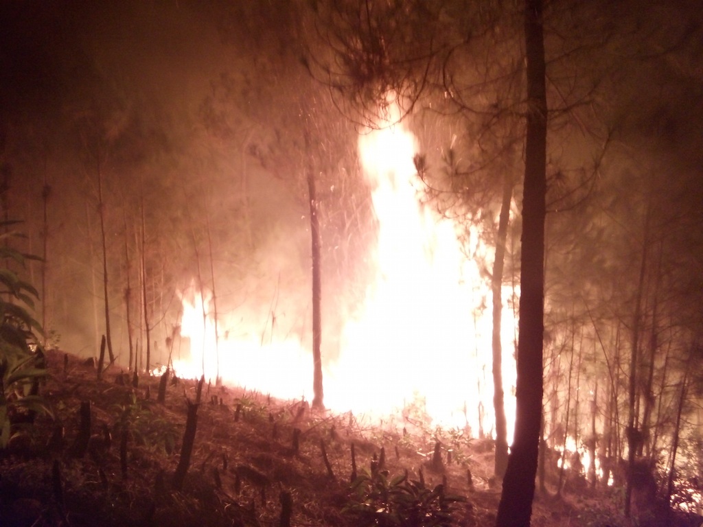 Huy động hàng trăm người dập đám cháy rừng thông trong đêm - 7 Ngọn lửa cao ngút trong đêm thiêu cháy rừng thông.
