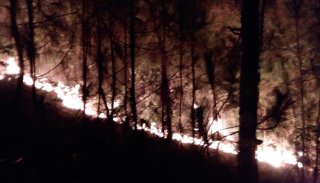 Huy động hàng trăm người dập đám cháy rừng thông trong đêm - 2 Huy động hàng trăm người dập đám cháy rừng thông trong đêm - 2