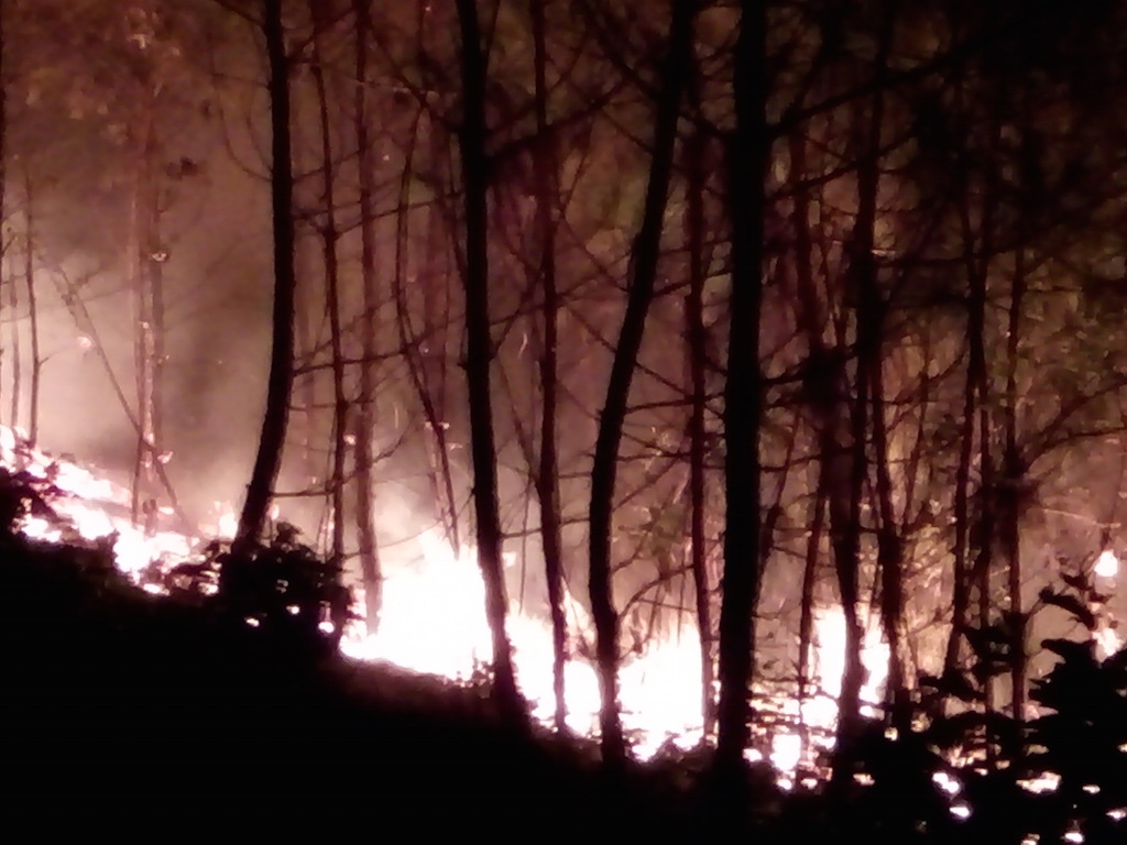 Huy động hàng trăm người dập đám cháy rừng thông trong đêm - 6 Huy động hàng trăm người dập đám cháy rừng thông trong đêm - 6
