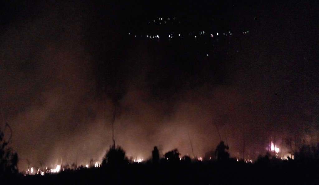Huy động hàng trăm người dập đám cháy rừng thông trong đêm - 1 
Ngọn lửa xuất phát trong đêm nhìn từ xa.