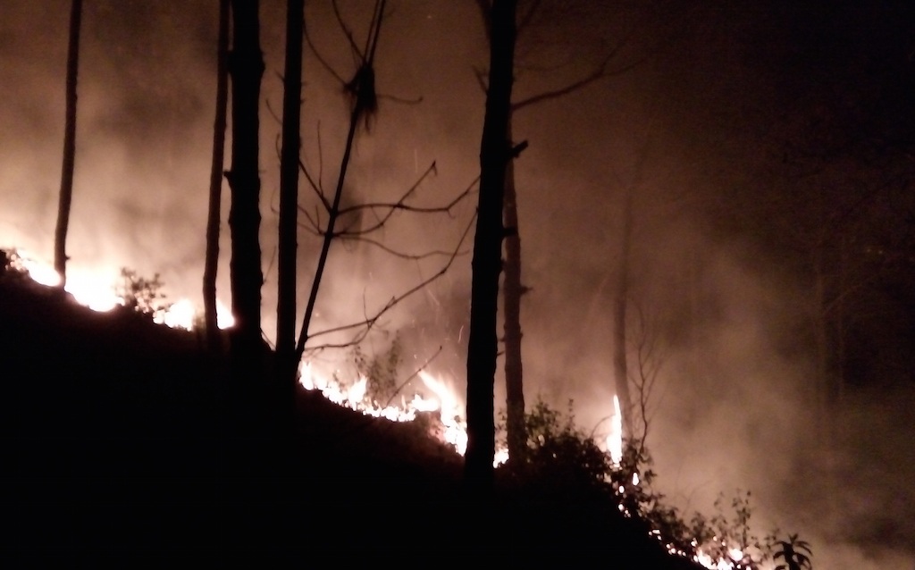 Huy động hàng trăm người dập đám cháy rừng thông trong đêm - 3 Huy động hàng trăm người dập đám cháy rừng thông trong đêm - 3