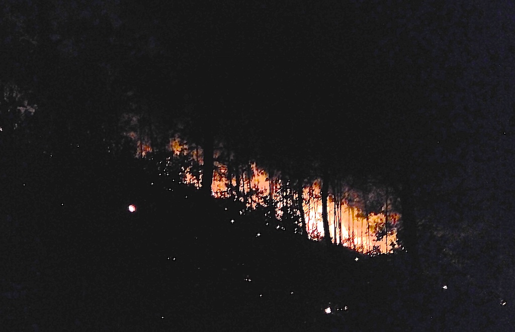 Huy động hàng trăm người dập đám cháy rừng thông trong đêm - 8 Ngọn lửa cơ bản được khống chế, nhưng nó cũng đã thiêu rụi nhiều hecta rừng thông nhiều năm tuổi.