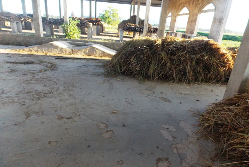 Nghệ An: Trung tâm thương mại hàng chục tỷ đồng bỏ hoang! - 8