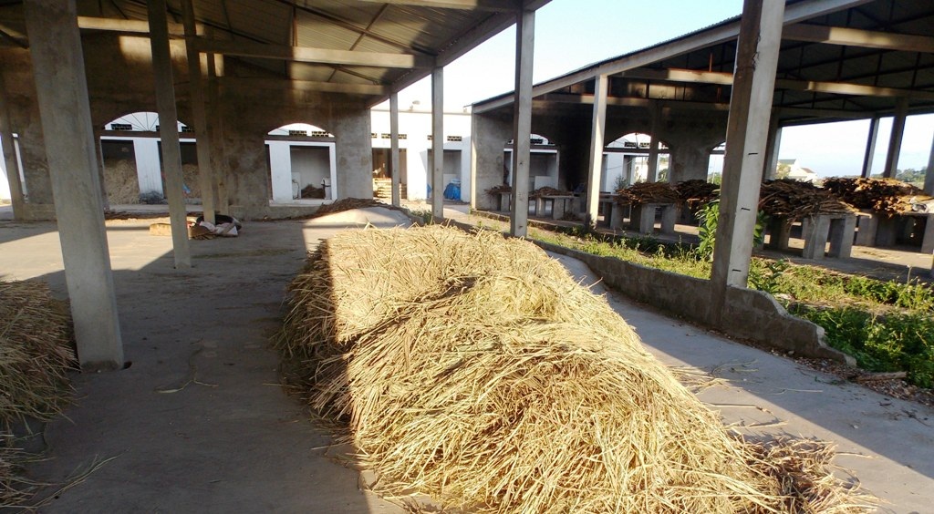 Nghệ An: Trung tâm thương mại hàng chục tỷ đồng bỏ hoang! - 5