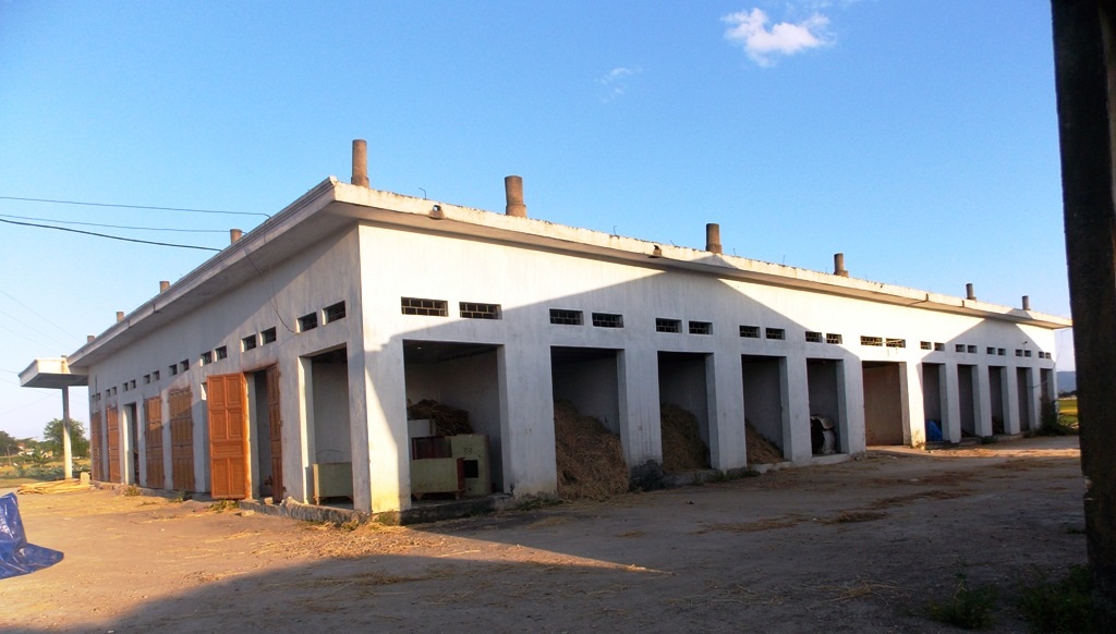 Đế nay gần 6 năm nó vẫn nằm im không hoạt động.