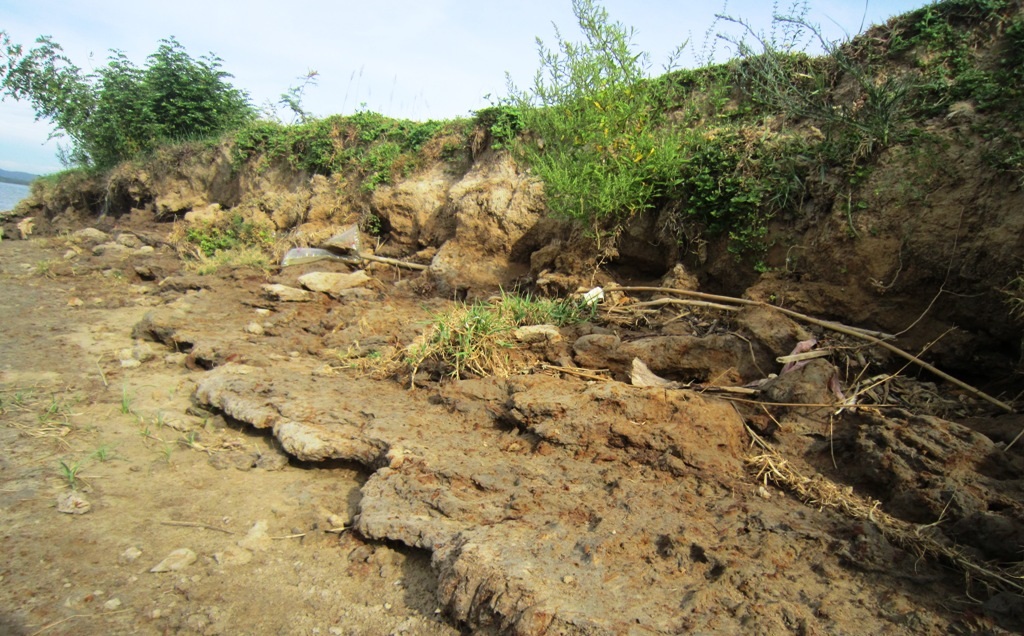 Làng chài Hòa Lam “dài cổ” chờ tái định cư - 6