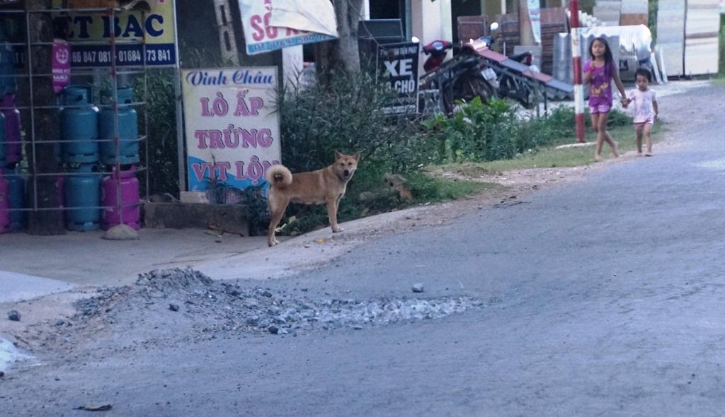 Đường 57 tỷ vừa bàn giao đã "nát như tương": Khắc phục trong thời gian sớm nhất! - 3 Đường 57 tỷ vừa bàn giao đã "nát như tương": Khắc phục trong thời gian sớm nhất! - 3