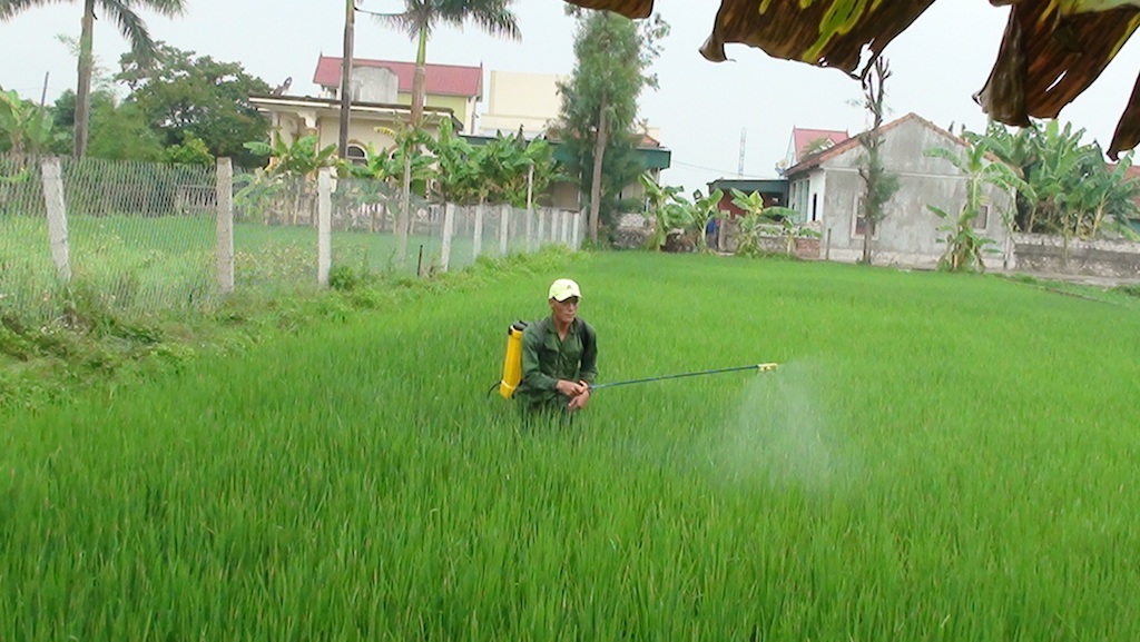 Để có tiền sinh sống, anh Thường phải hành nghề phun thuốc sâu thuê mỗi ngày kiếm được dăm chục ngàn.