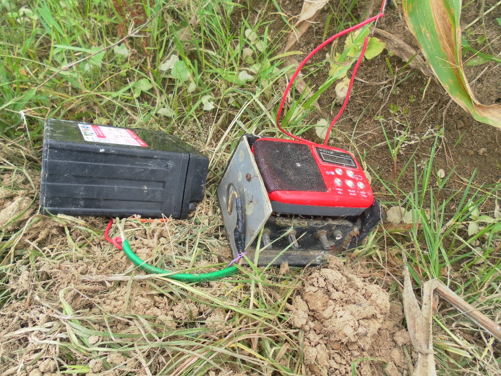 Bộ dàn bao gồm ắc quy và loa phát tiếng kêu ghi sẵn của chim mồi.