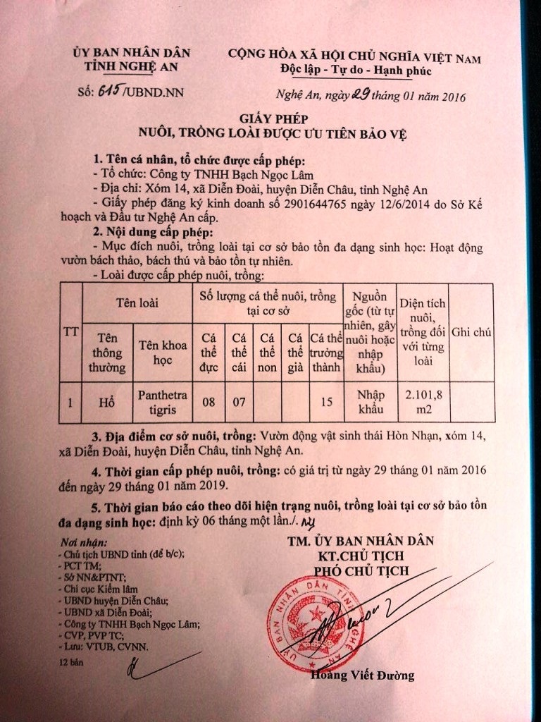 Lùm xum vụ cấp phép cho doanh nghiệp nuôi hổ tại Nghệ An - 3 Giấy phép của UBND tỉnh Nghệ An.