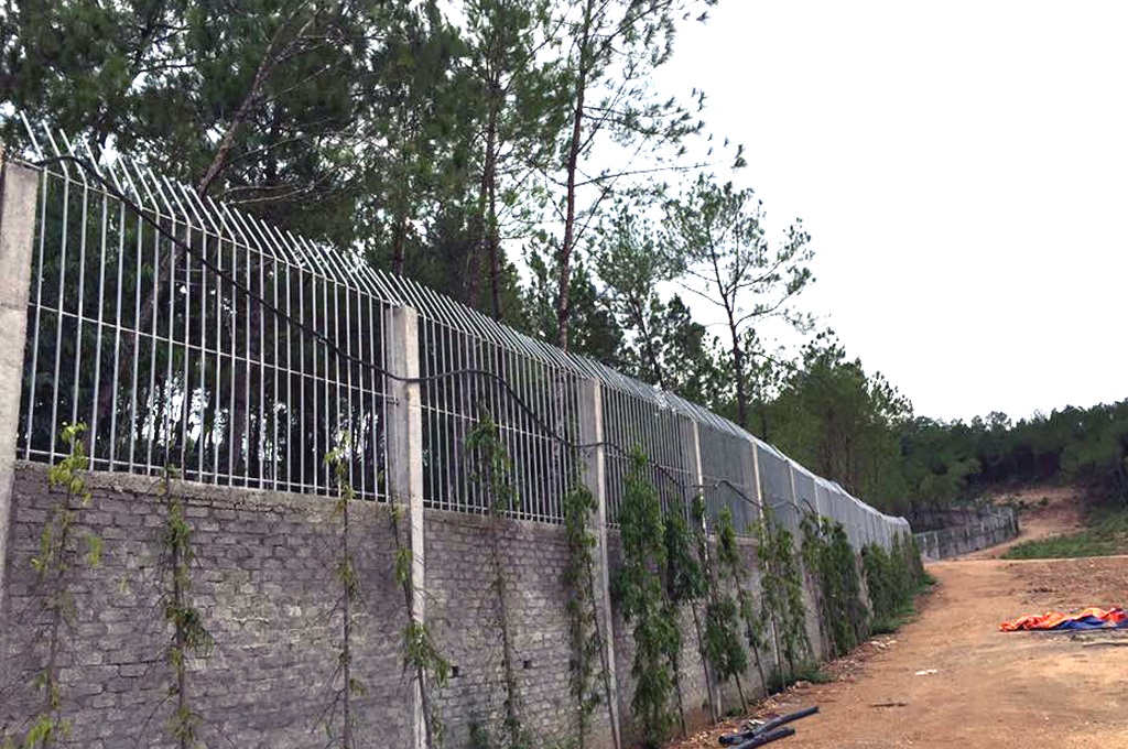 Lùm xum vụ cấp phép cho doanh nghiệp nuôi hổ tại Nghệ An - 10