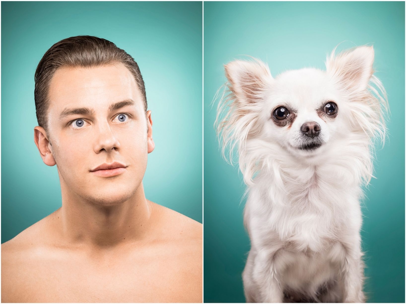 pay-dog-owner-portraits-9-1441382984549 pay-dog-owner-portraits-9-1441382984549