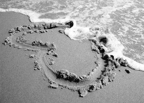 Dã tràng xe cát - 2