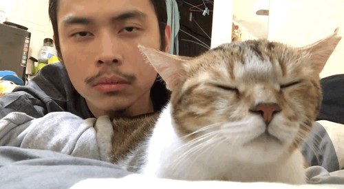 Mèo siêu ngầu "phê" nhạc - 1 Mèo siêu ngầu "phê" nhạc - 1