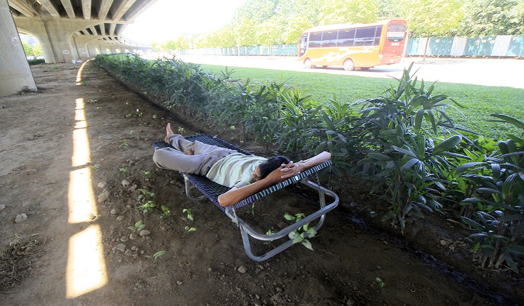 
Sở dĩ gầm cầu trở thành nơi mát mẻ vì vừa thoáng gió, vừa có cầu che nắng bên trên và thảm cỏ xanh mát phía dưới.
