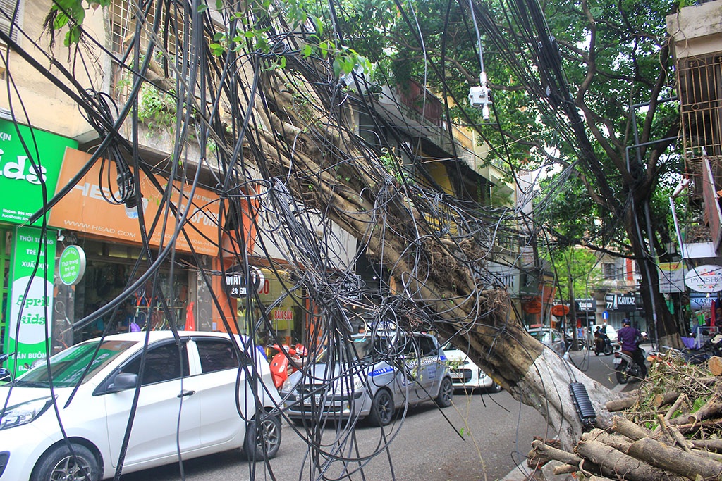 Cả bó dây cáp thả hẳn xuống lòng đường.