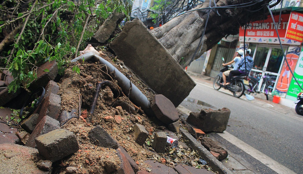 
Phần vỉa hè bị cũng bị xới lên.
