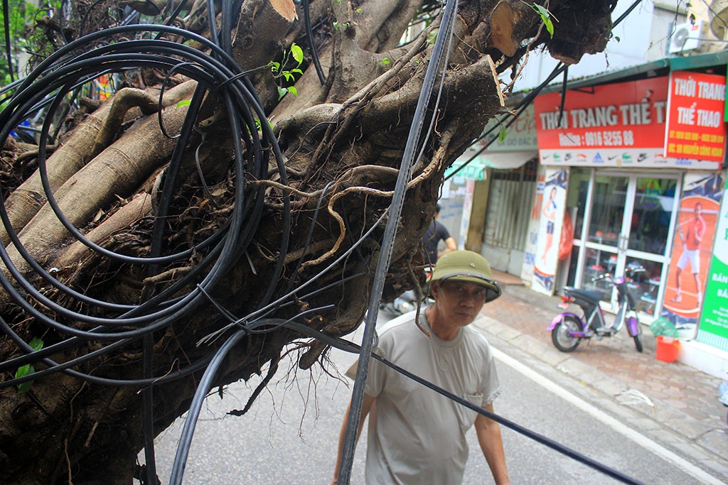 
Một số người ở đây cho biết, không hiểu vì sao cây chưa được dọn đi để những người phải qua đây hàng ngày đỡ sợ..
